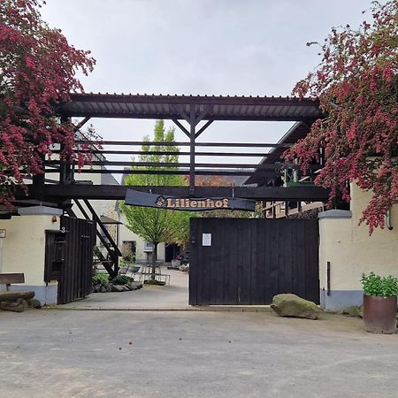 Münstermaifeld Moderne Ferienwohnung Black Beauty Auf Idyllischem Reiterhof Naehe Burg Eltz מראה חיצוני תמונה