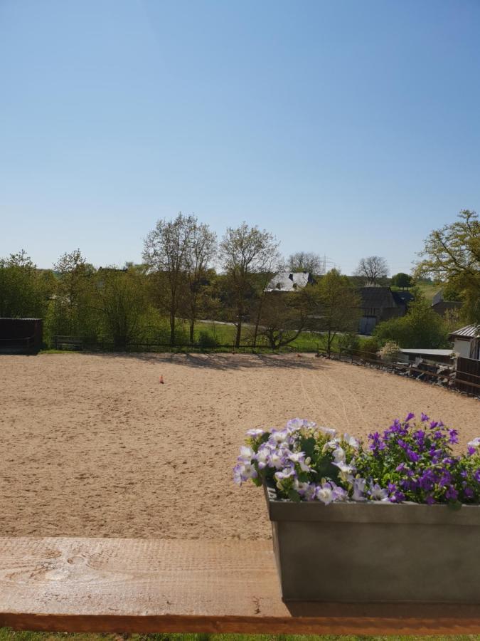 Münstermaifeld Moderne Ferienwohnung Black Beauty Auf Idyllischem Reiterhof Naehe Burg Eltz מראה חיצוני תמונה
