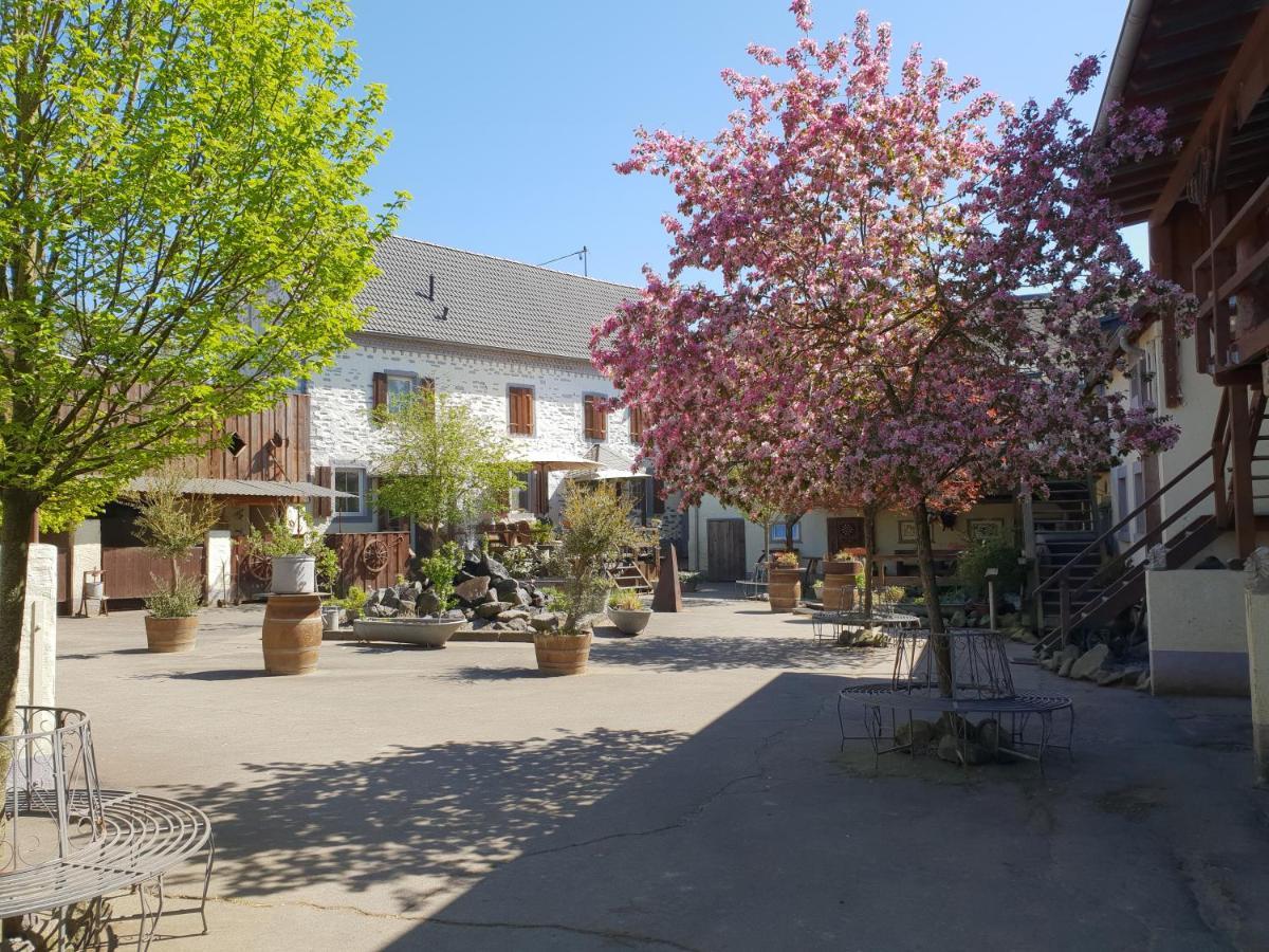 Münstermaifeld Moderne Ferienwohnung Black Beauty Auf Idyllischem Reiterhof Naehe Burg Eltz מראה חיצוני תמונה