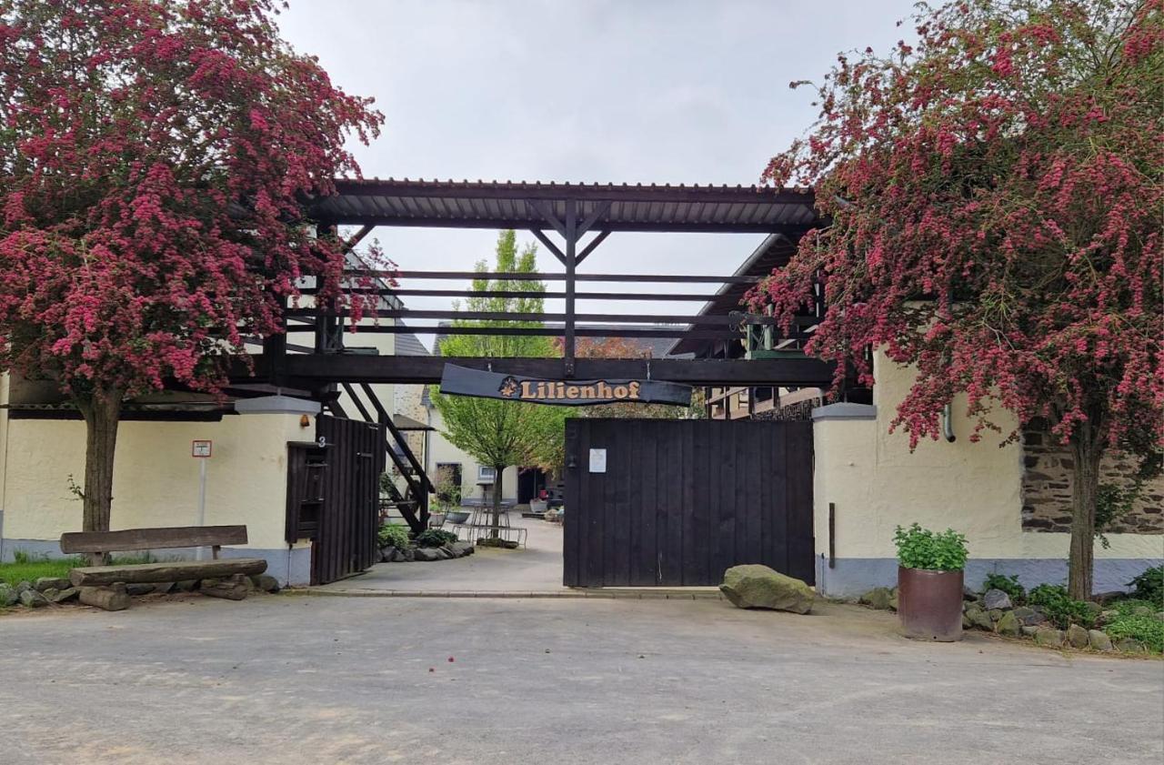 Münstermaifeld Moderne Ferienwohnung Black Beauty Auf Idyllischem Reiterhof Naehe Burg Eltz מראה חיצוני תמונה
